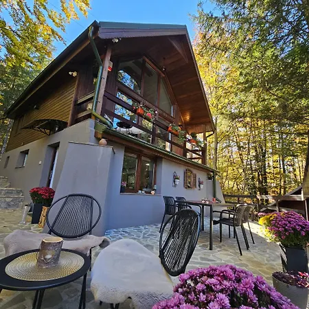 Wild House Villa Sinaia Exterior photo