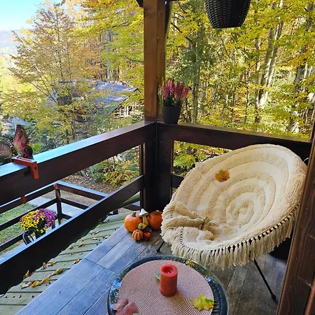 Wild House Villa Sinaia Exterior photo