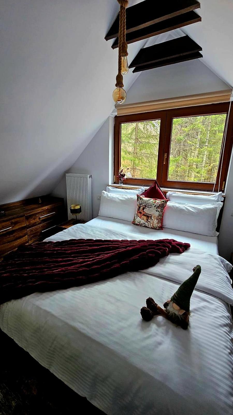Chalet Wild House Sinaia