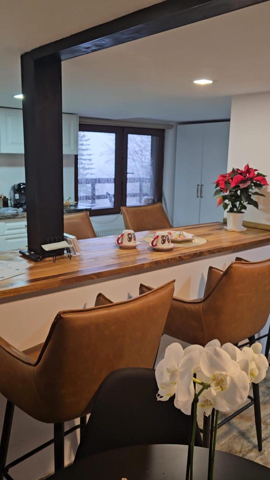 Wild House Chalet Sinaia