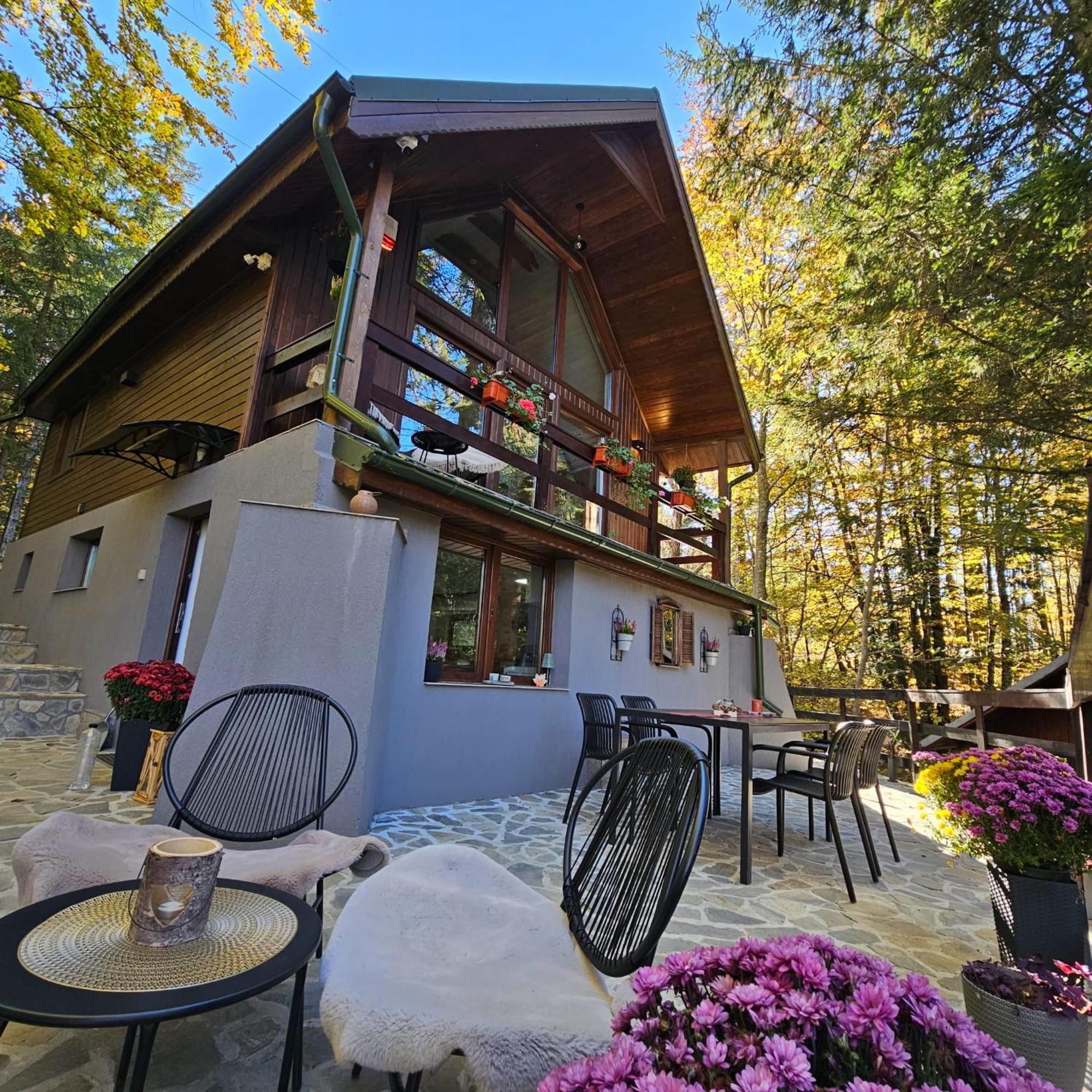 Wild House * Sinaia