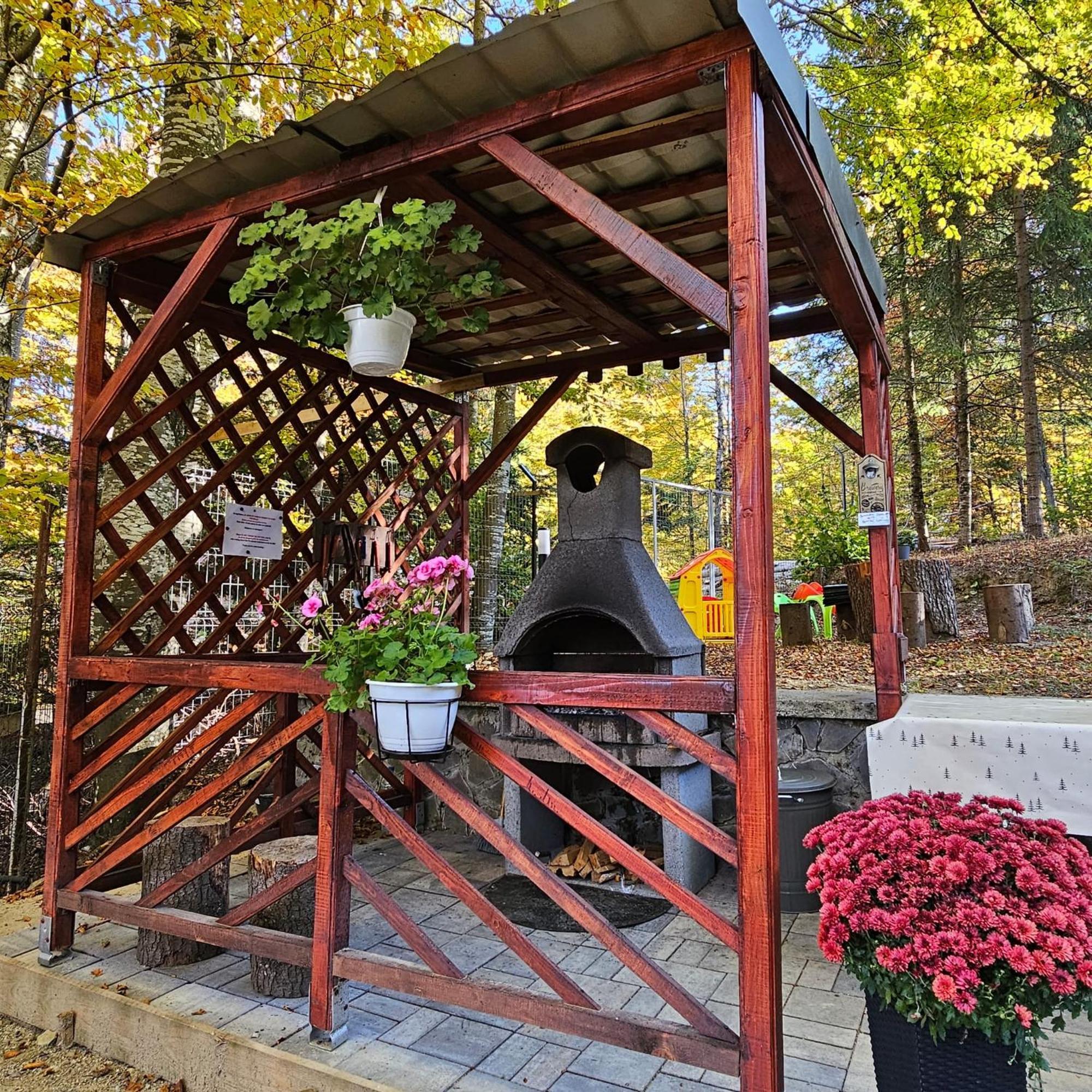 Chalet Wild House Sinaia