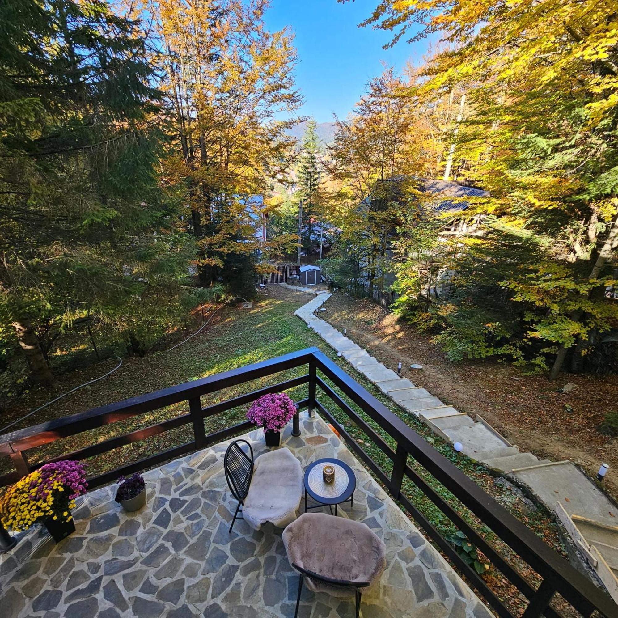 Wild House Chalet Sinaia