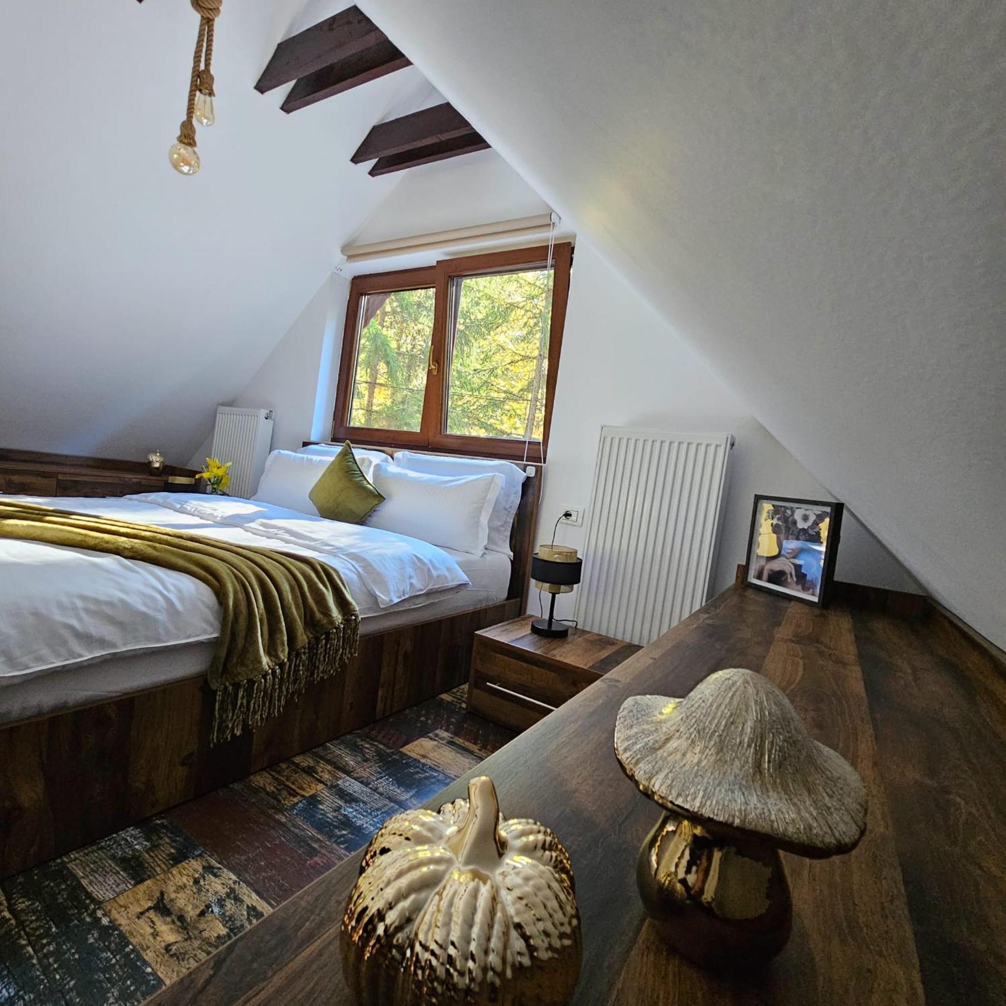 Wild House Chalet Sinaia