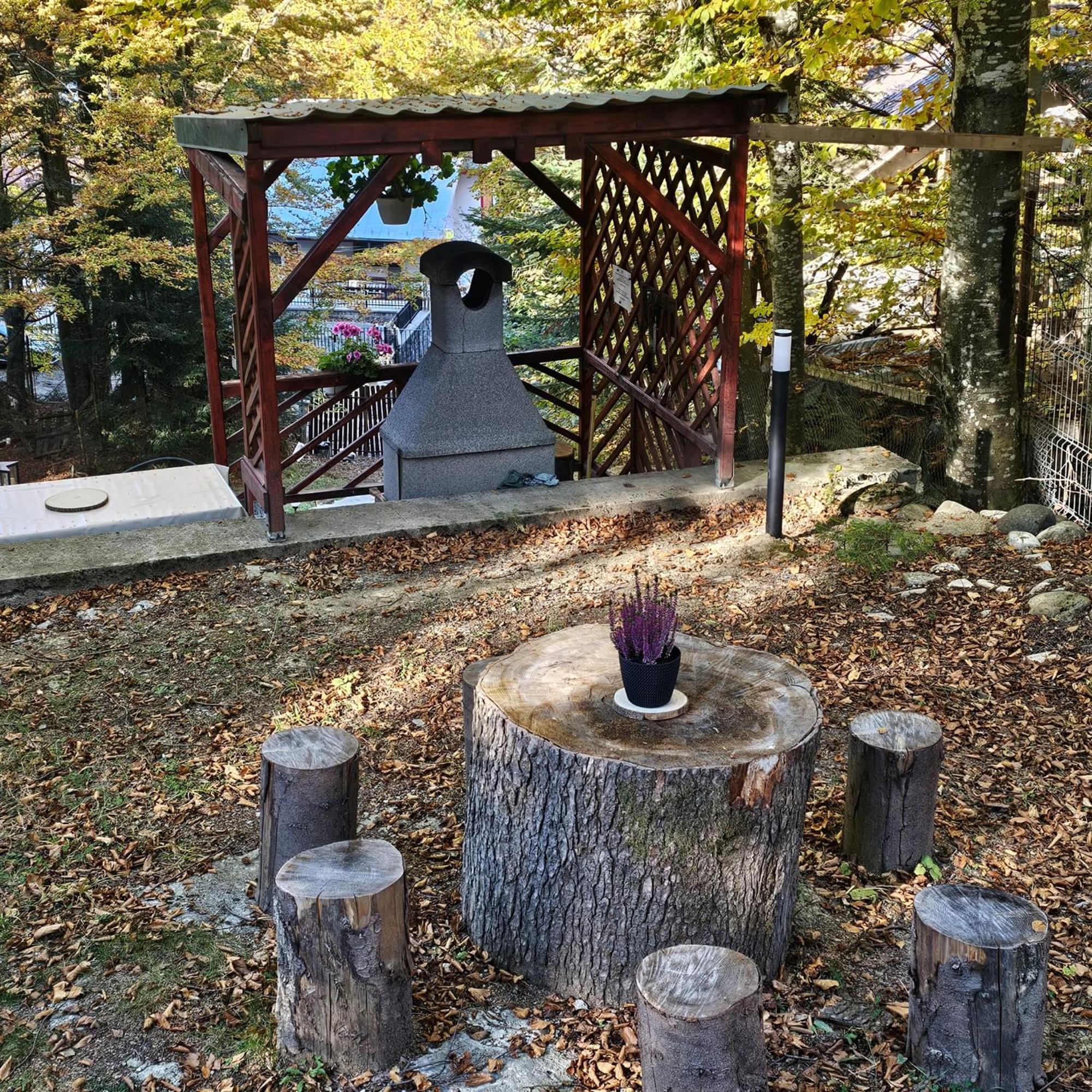 Wild House * Sinaia