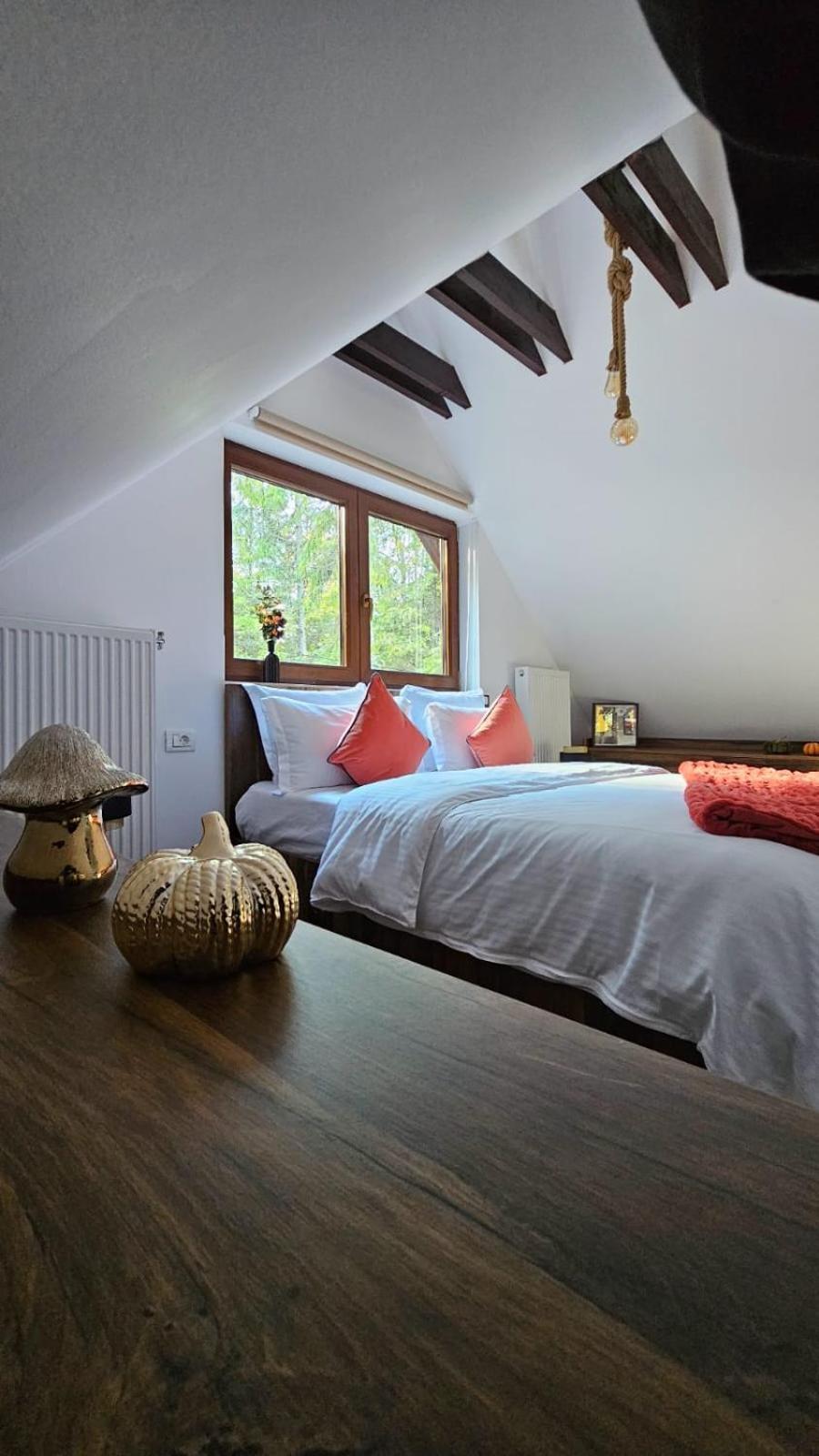 Chalet Wild House Sinaia