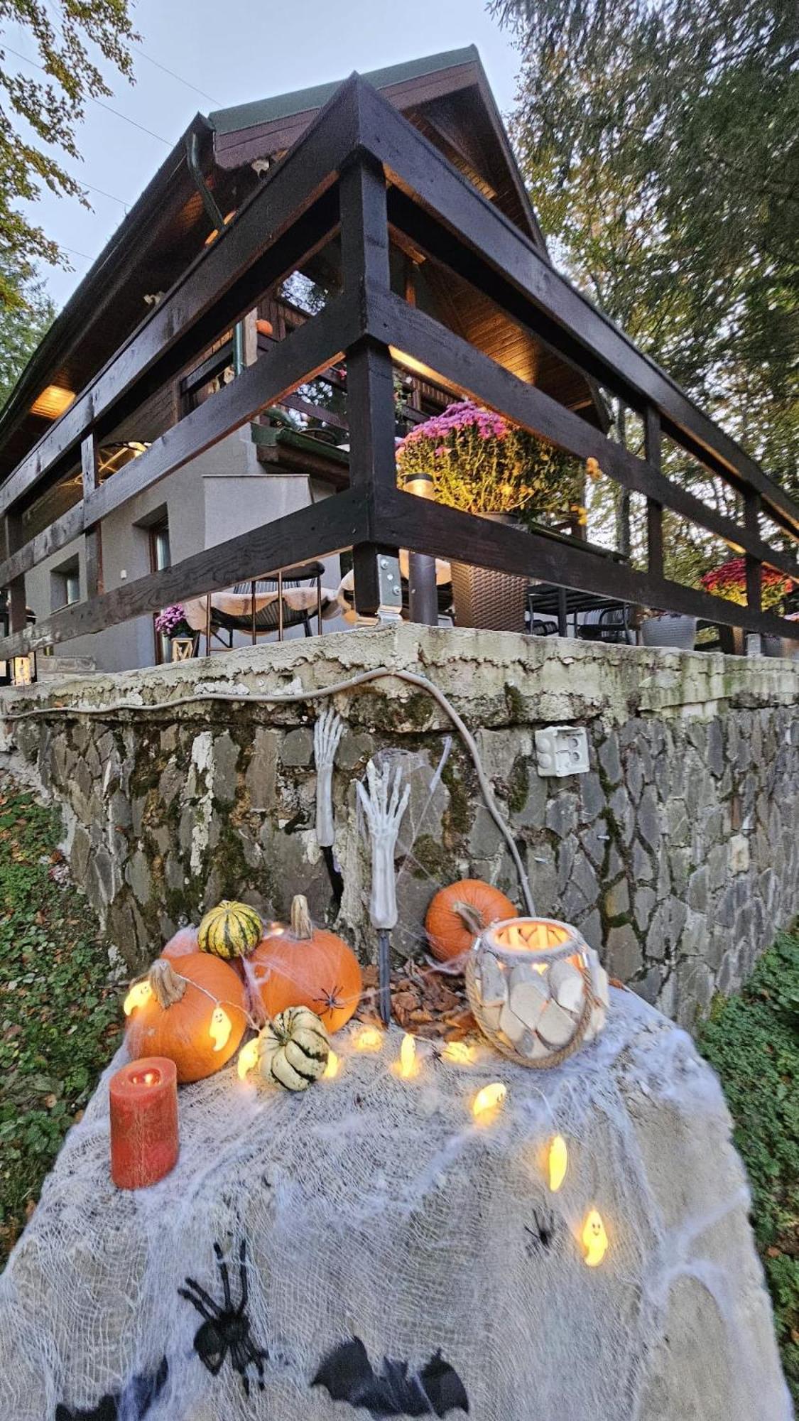 Wild House Chalet *