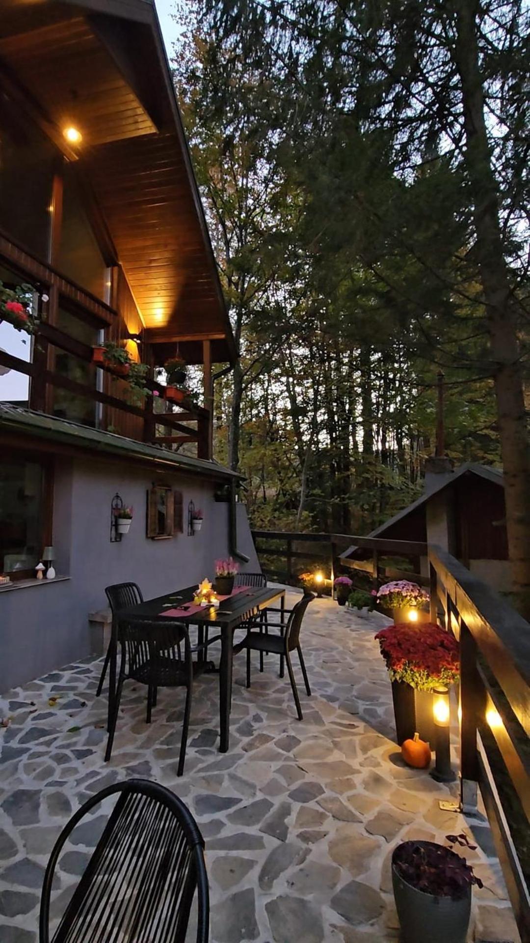 Wild House Chalet Sinaia