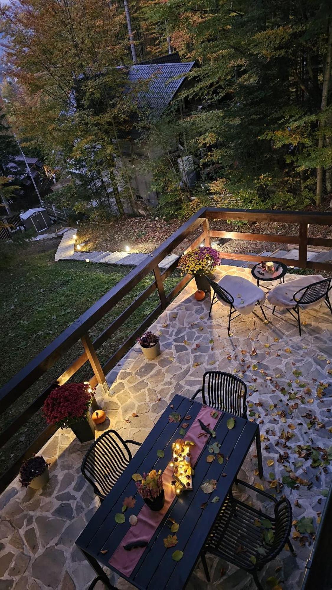 Wild House