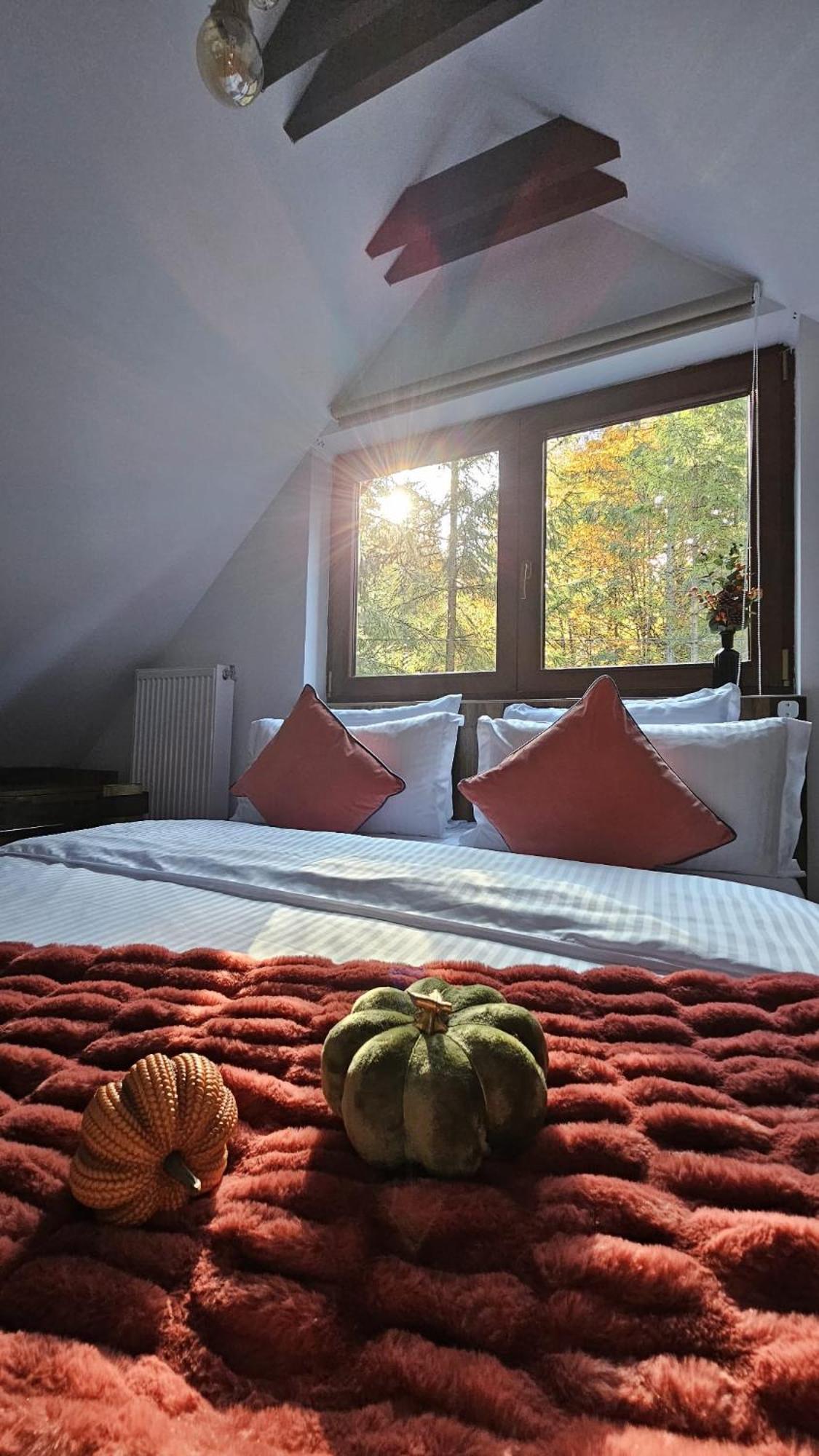 Chalet Wild House Sinaia